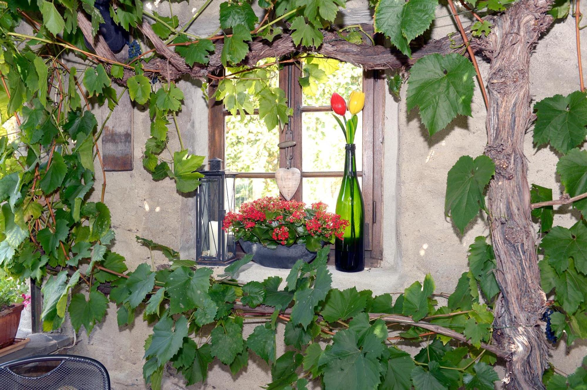 Wein- Und Gaestehaus M. Bai Mesenich Eksteriør billede
