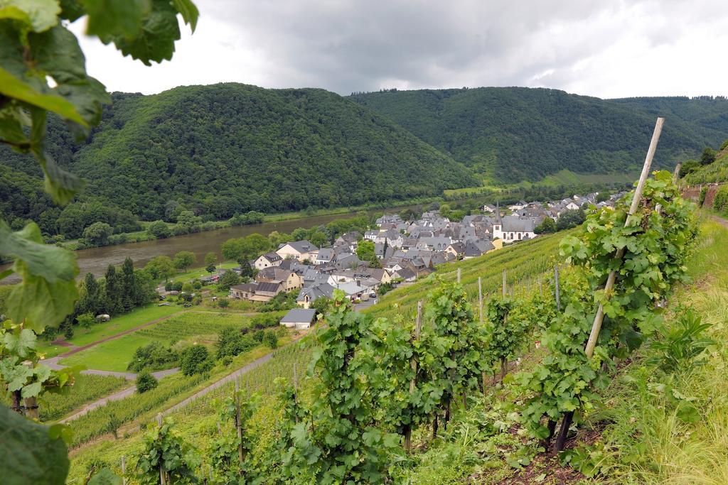 Wein- Und Gaestehaus M. Bai Mesenich Eksteriør billede